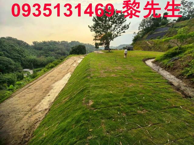 寶山林地-1