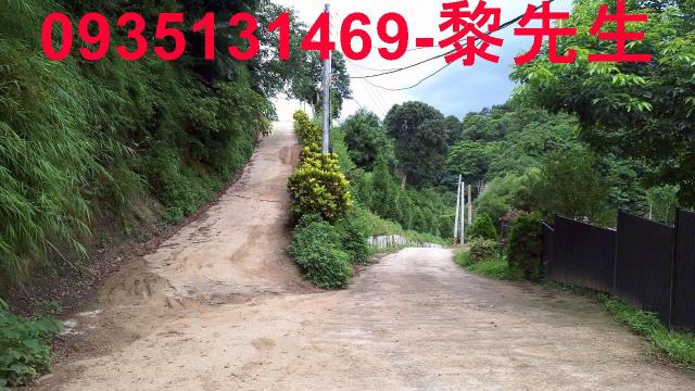 寶山林地-11
