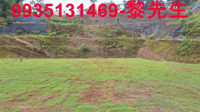 寶山林地-0