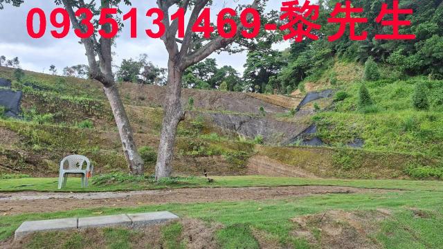 寶山林地-6