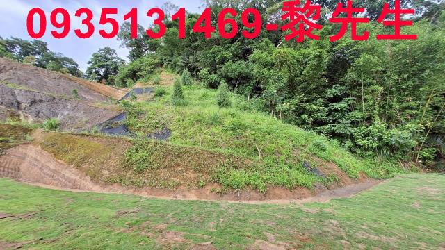 寶山林地-7