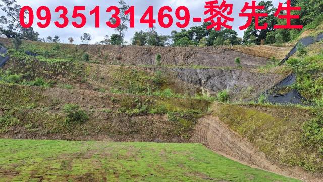寶山林地-8