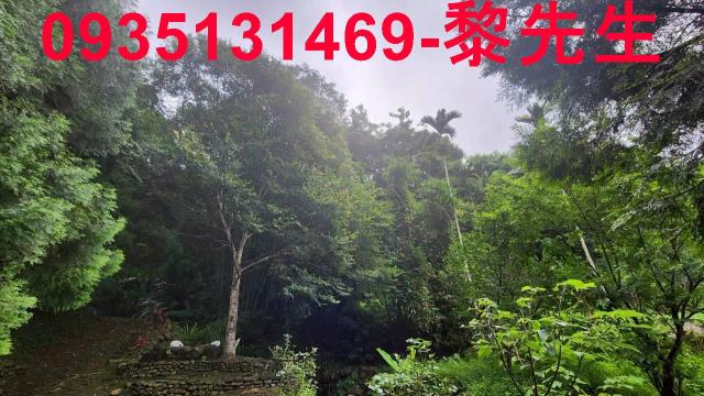 橫山林地-9