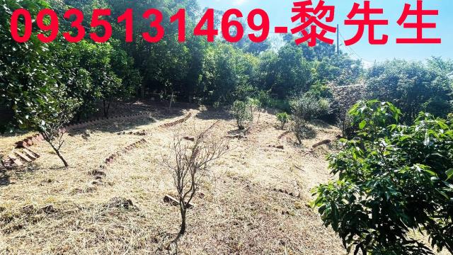 新埔農地-2