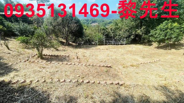 新埔農地-3