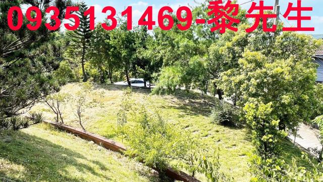 新埔農地-4