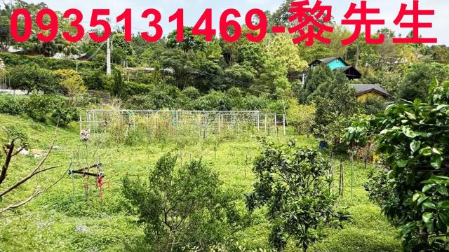 新竹峨眉農地-1