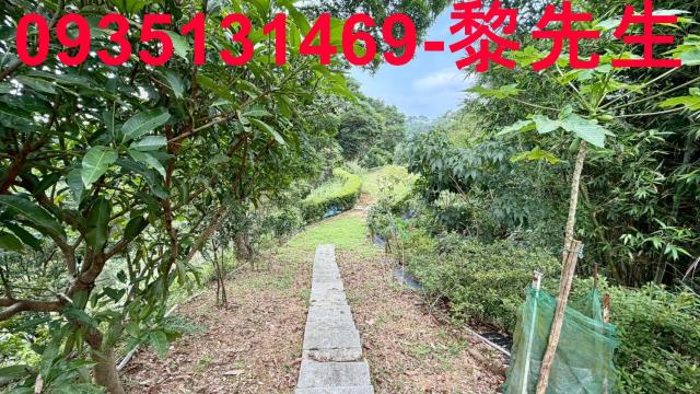 新竹北埔農地-6