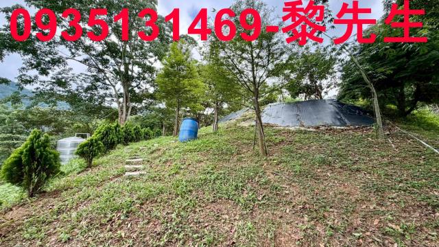 新竹北埔農地-4