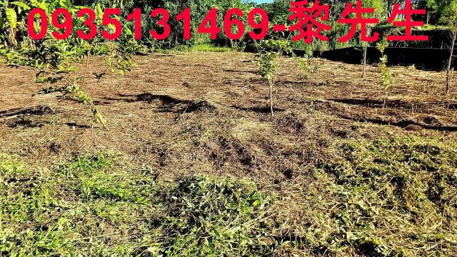 新竹橫山農地-9