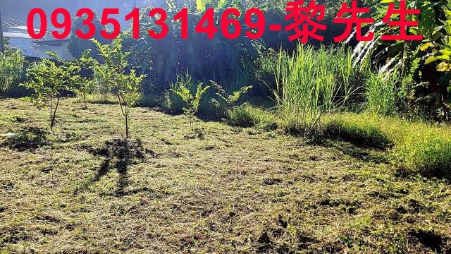 新竹橫山農地-10