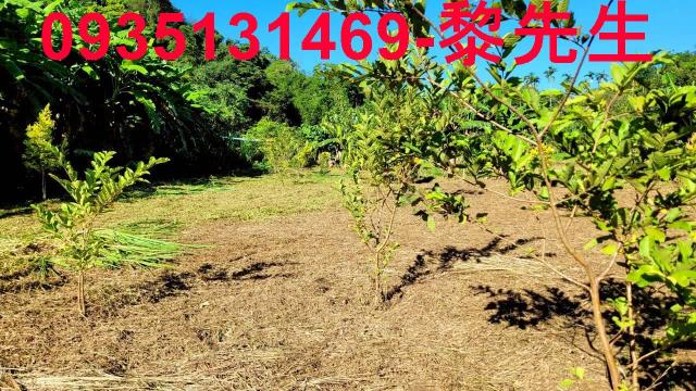 新竹橫山農地-9