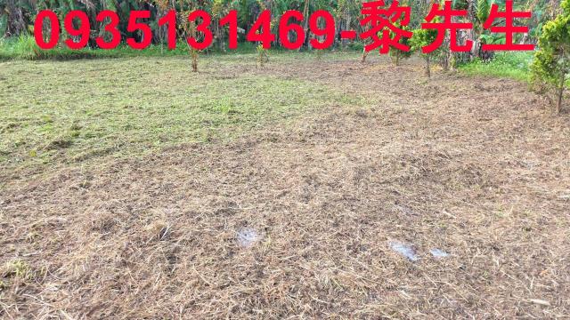 新竹橫山農地-11