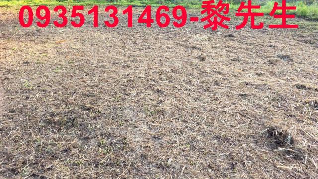 新竹橫山農地-14