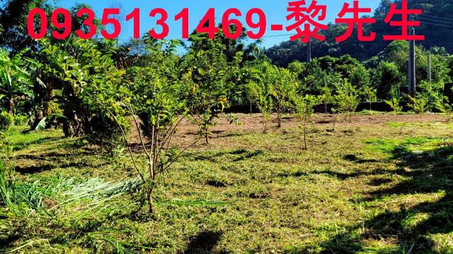 新竹橫山農地-0