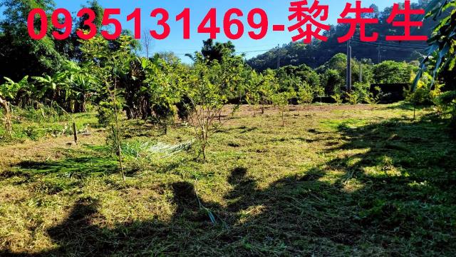 新竹橫山農地-2