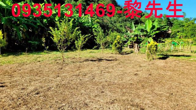 新竹橫山農地-4