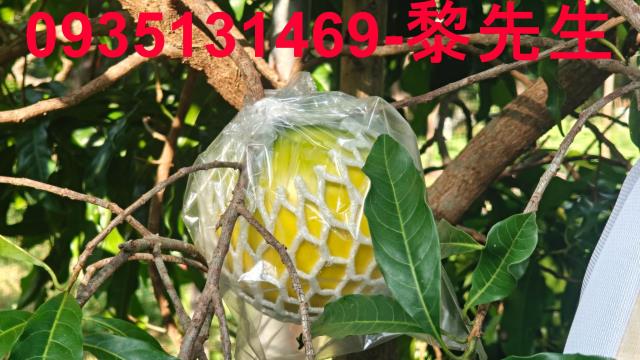 北埔農地-6