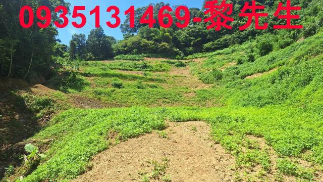 峨眉農地-10