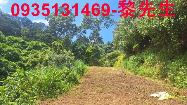 峨眉農地-3