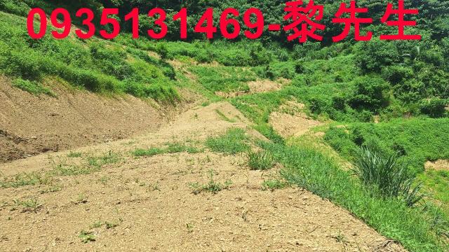 峨眉農地-11