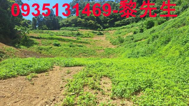 峨眉農地-0
