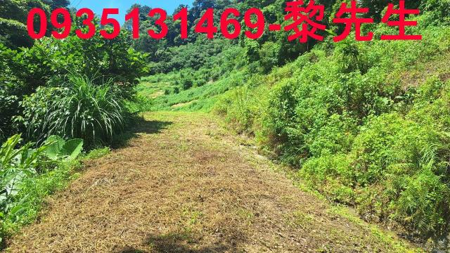 峨眉農地-14