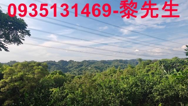 新竹農地-12