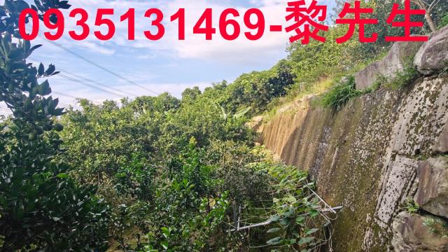 新竹農地-13
