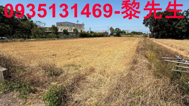 楊梅農地-5