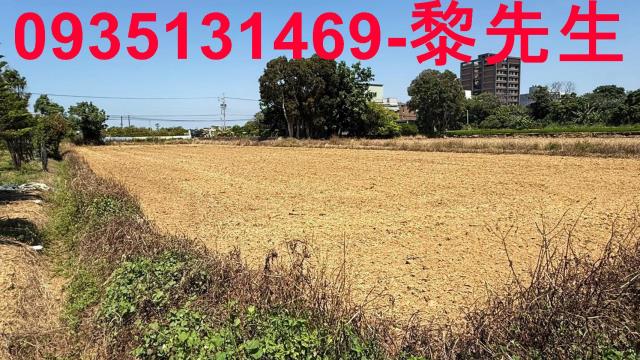 桃園楊梅農地-0